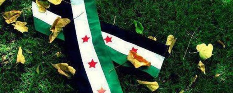 End Rape in Syria Flashmob